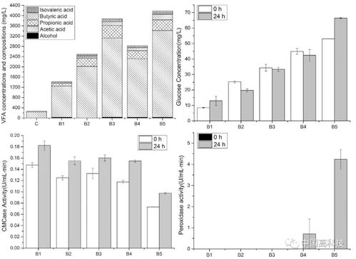 中科院科學家提出新方法 前沿科技助力提升纖維素生物質厭氧發酵沼氣產量與生物質能資源數據庫信息系統